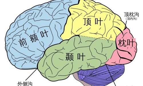 老年糖尿病病人首发的并发症不包括-老年糖尿病病人首发的并发症-专业老年糖尿病病人首发的并发症有哪些平台-老人糖尿病并发症预防小技巧